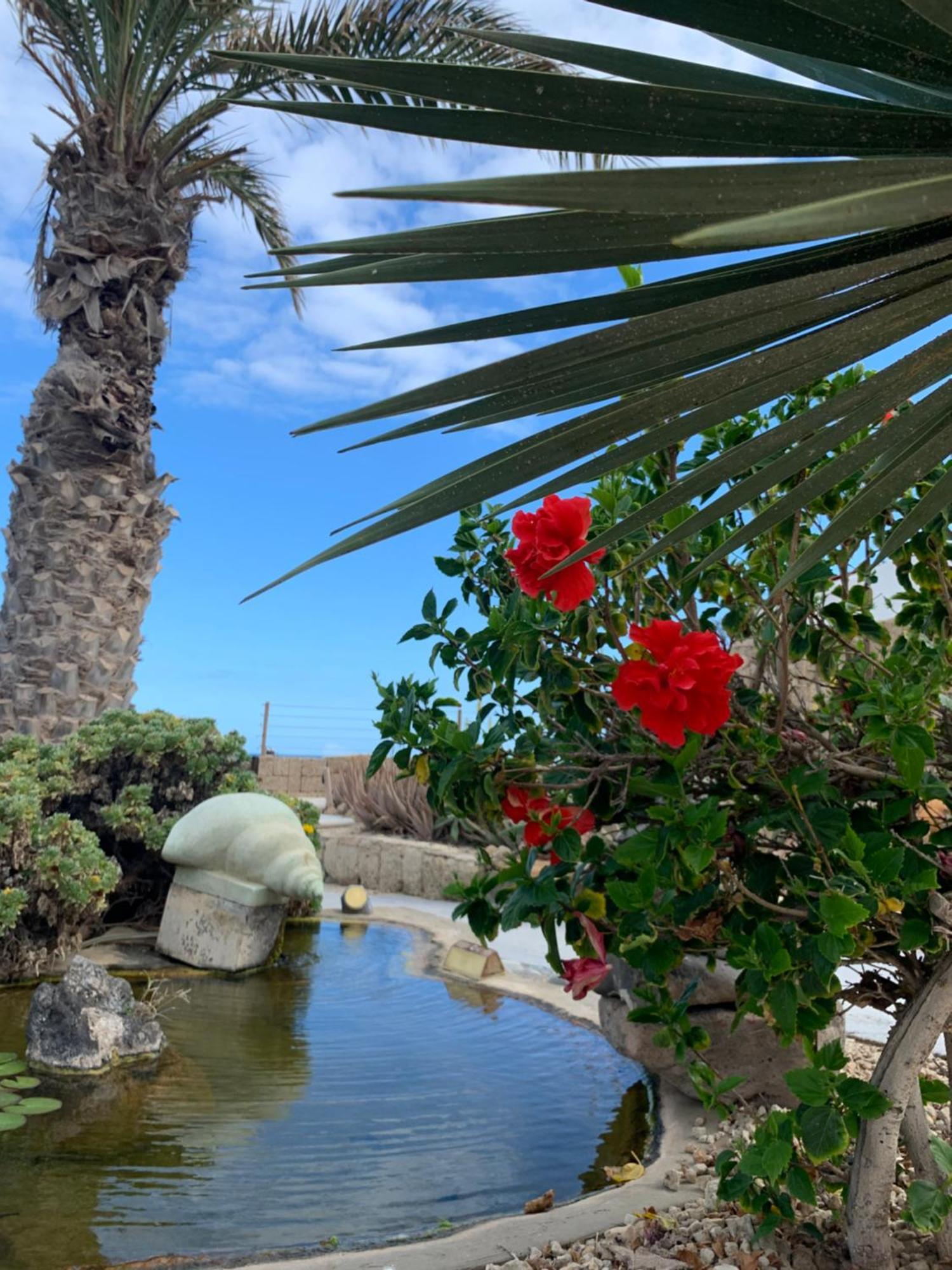 Little Paradise In El Medano 2 Granadilla De Abona Luaran gambar